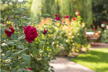 Словаччина Penzión Дунайська Стреда / Dunajská Streda, Екстер'єр